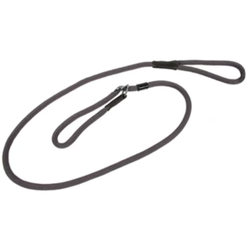 Hundeleine mit Halsband Grau